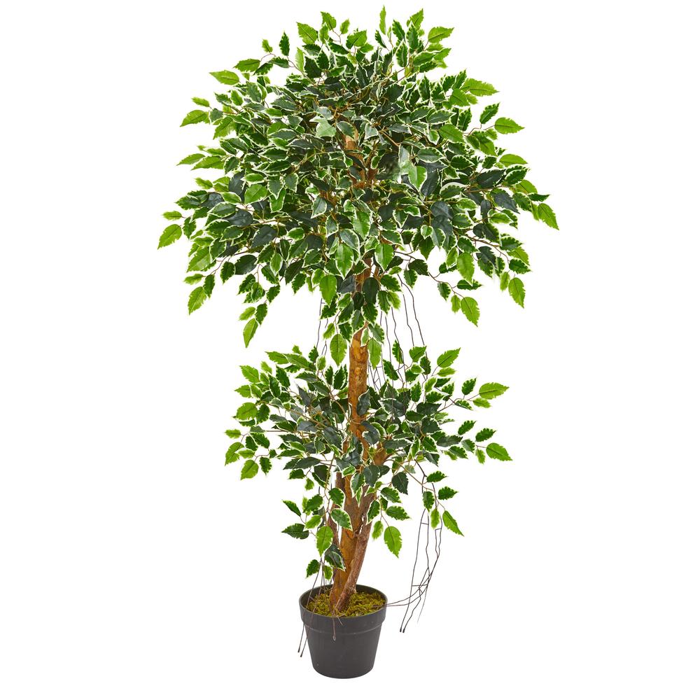 Nearly Natural 5544 4 in. Variegated Ficus Artificial Tree