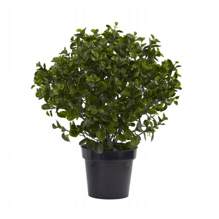 Nearly Natural 6860 28 in. Peperomia Plant UV Resistant - Indoor & Outdoor