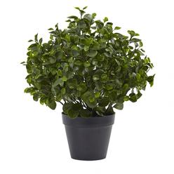 Nearly Natural 6859 23 in. Peperomia Plant UV Resistant - Indoor & Outdoor