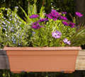 Novelty Countryside Flowerbox Clay 36 Inch - 16365