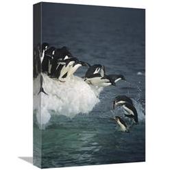 JensenDistributionServices 12 x 18 in. Adelie Penguin Group Leaping Off Ice Edge in Fog, Ross Sea, Antarctica Art Print - Tui De Roy