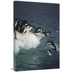 JensenDistributionServices 20 x 30 in. Adelie Penguin Group Leaping Off Ice Edge in Fog, Ross Sea, Antarctica Art Print - Tui De Roy