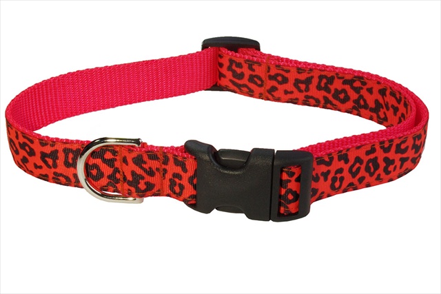 Sassy Dog Wear LEOPARD-ORANGE2-C Leopard Dog Collar- Orange - Small