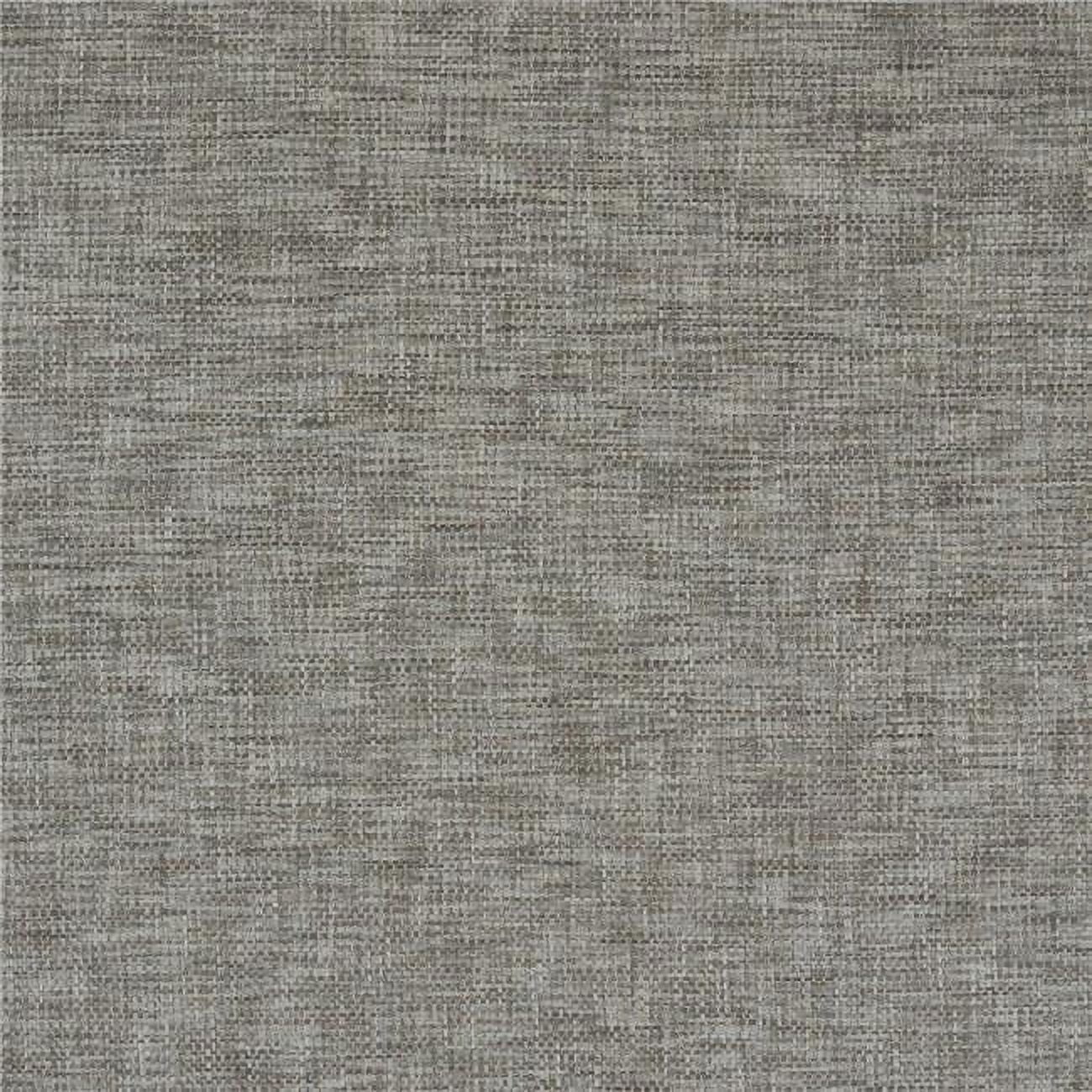 KD Cuna 54 in. Graziana Plain & Texture Design Silk Fabric Cloth&#44; Mineral
