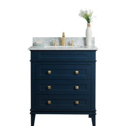 Legion Furniture WS3130-B 30 in. Solid Wood Sink Vanity without Faucet - Navy Blue