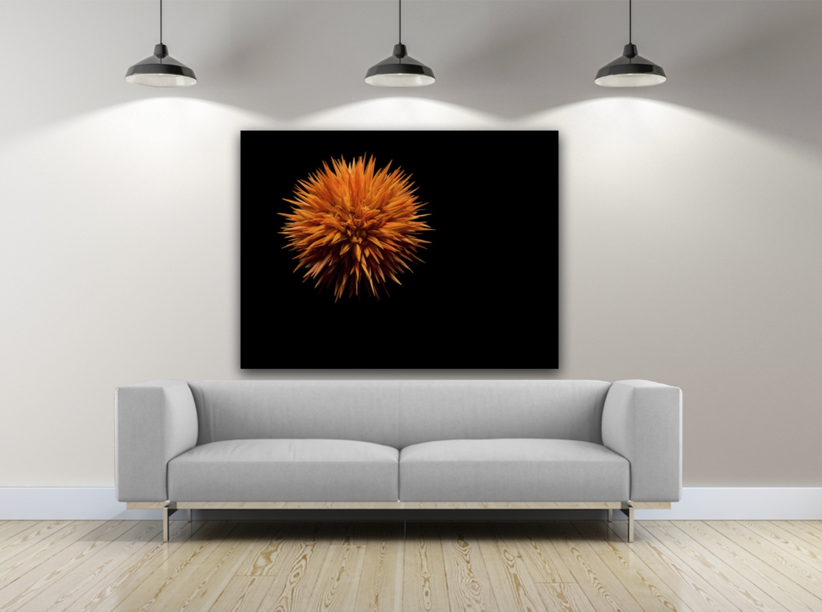 Artful Printers C-20302081 Spikeball Photography Canvas Art, 20 x 30 in.