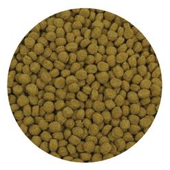 Kmart fish deals food