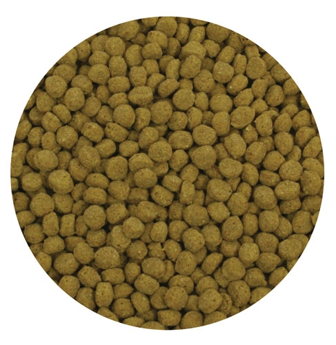 Aquascape 81005 Premium Color Enhancing Fish Food Pellets - 10 Kg