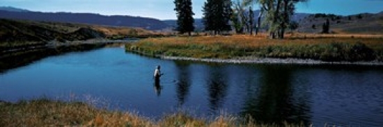 RLM Distribution Trout fisherman Slough Creek Yellowstone National Park WY Poster Print by  - 36 x 12