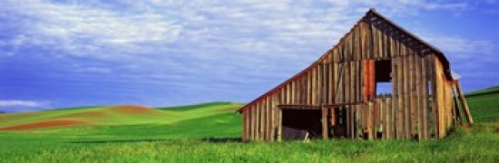 Panoramic Images PPI131040L Dilapidated barn in a farm  Palouse  Whitman County  Washington State  USA Poster Print by Panoramic Images - 36 x 12