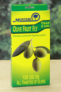 Monterey Bay Monterey LG 8700 Olive Fruit fly Trap-2 Traps - Pack of 12