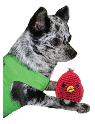 Mirage Pet Products 500-017 Knit Knacks Rockin Robin Organic Cotton Dog Toy - Small