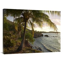 JensenDistributionServices 30 x 40 in. Wilkes Point at Sunset with Palm Trees, Roatan Island, Honduras Art Print - Tim Fitzharris