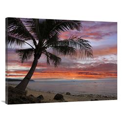 JensenDistributionServices 30 x 40 in. Coconut Palm at Sunset Near Dimiao, Bohol Island, Philippines Art Print - Tim Fitzharris