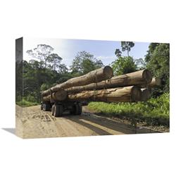 Global Gallery GCS-397663-1218-142 12 x 18 in. Truck with Timber From A Logging Area, Danum Valley Conservation Area, Borneo, Malaysia Art Prin