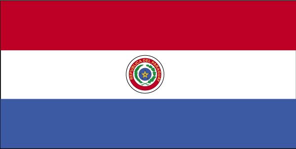 Annin Flagmakers 196618 5 ft. X 8 ft. Nyl-Glo Paraguay Flag