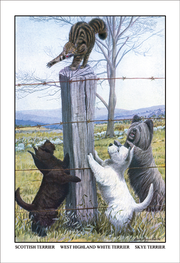 Buyenlarge Buy Enlarge 0-587-11832-6C12X18 Scottish Terrier  West Highland Terrier  Skye Terrier- Canvas Size C12X18