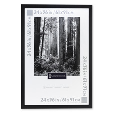 The Burns Group DAX2863U2X Poster Frames- Hangs Vertically-Horizontally- 24in.x36in.- Ebony BK