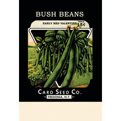 Buyenlarge Buy Enlarge 0-587-02591-3C12X18 Bush Beans- Early Red Valentine- Canvas Size C12X18