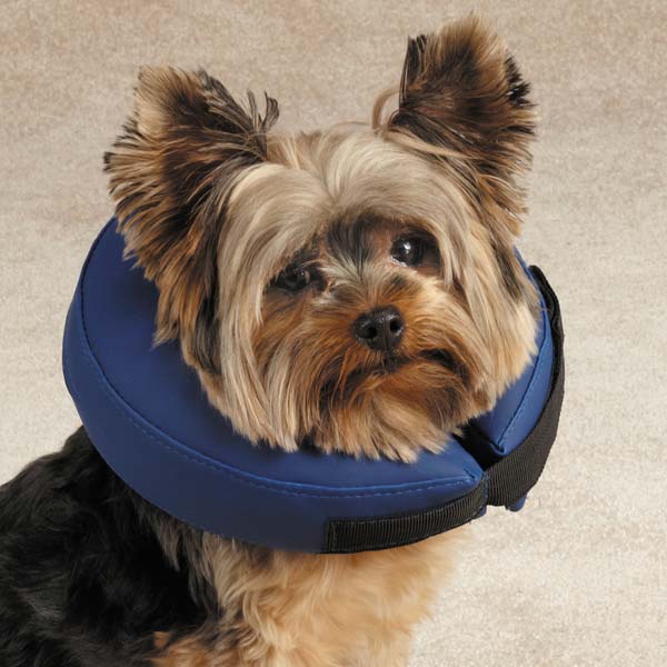 Total Pet Health TP3630 20 19 Inflatable Collar Lrg Blue