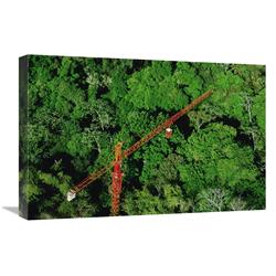 JensenDistributionServices 16 x 24 in. Rainforest Canopy Research Crane, Stri, Panama Art Print - Mark Moffett