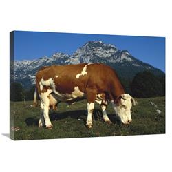 JensenDistributionServices 30 in. Cow Grazing in Field in Berchtesgadener Land, Bavaria, Southern Germany Art Print - Heidi And Hans-Juergen Koch