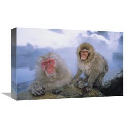 JensenDistributionServices 12 x 18 in. Japanese Macaques Soaking in Hot Springs, Japanese Alps, Nagano, Japan Art Print - Konrad Wothe