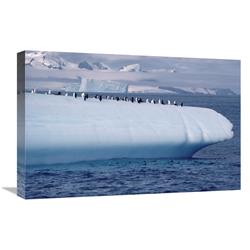 JensenDistributionServices 16 x 24 in. Chinstrap Penguin Group on Iceberg, Palmer Peninsula, Antarctica Art Print - Flip Nicklin