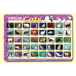 Painless Learning CAT-1 Popular Cats Placemat - Pack of 4