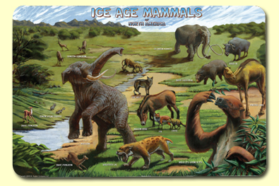 Painless Learning ICE-1 Ice Age Placemat - Pack of 4