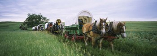 RLM Distribution Historical reenactment  Covered wagons in a field  North Dakota  USA Poster Print by  - 36 x 12