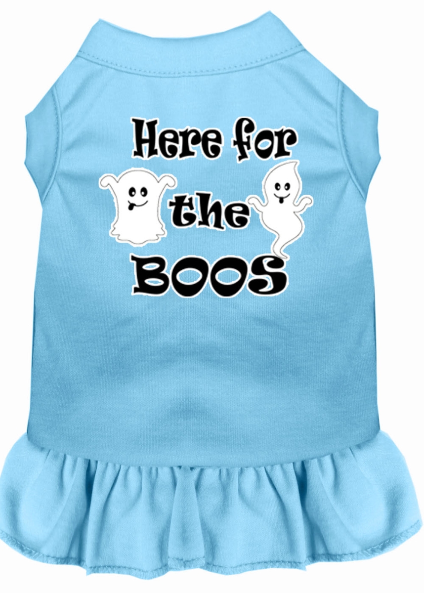 Mirage Pet Products 58-64 BBLXXL Here for the Boos Screen Print Dog Dress, Baby Blue - 2XL 18