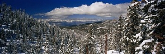 Panoramic Images PPI98396L Snow covered pine trees in a forest with a lake in the background  Lake Tahoe  California  USA Poster Print by Panoram