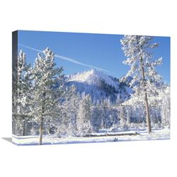 JensenDistributionServices 18 x 24 in. Pine Trees Covered with Snow in Winter, Yellowstone National Park, Wyoming Art Print - Tim Fitzharris