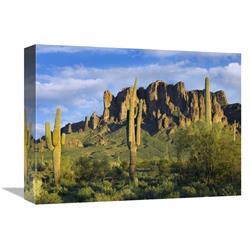 JensenDistributionServices 12 x 16 in. Saguaro Cacti & Superstition Mountains at Lost Dutchman State Park&#44; Arizona Art Print - Tim Fitzharris
