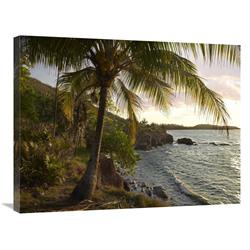 JensenDistributionServices 24 x 32 in. Wilkes Point at Sunset with Palm Trees, Roatan Island, Honduras Art Print - Tim Fitzharris