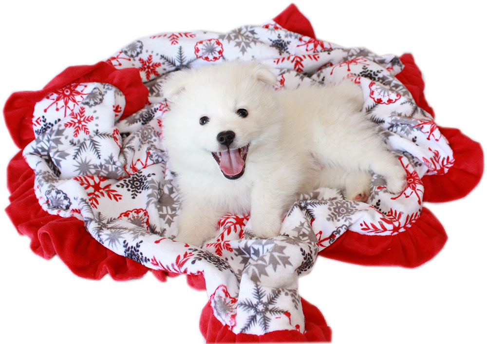 Mirage Pet Products 500-154 RSFJB Luxurious Plush Pet Blanket Red Snowflake - Jumbo Size