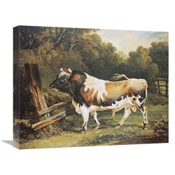 JensenDistributionServices 22 in. A Bull of the Alderney Breed Art Print - James Ward