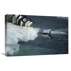 Global Gallery GCS-451720-1624-142 16 x 24 in. Adelie Penguin Leaping Off Ice Edge in Fog, Possession Island, Ross Sea, Antarctica Art Print -