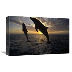 Global Gallery GCS-452295-1218-142 12 x 18 in. Bottlenose Dolphin Pair Leaping At Sunrise, Honduras Art Print - Konrad Wothe