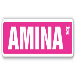 SignMission SS-AMINA 4 x 18 in. Childrens Name Room Decal Street Sign - Amina