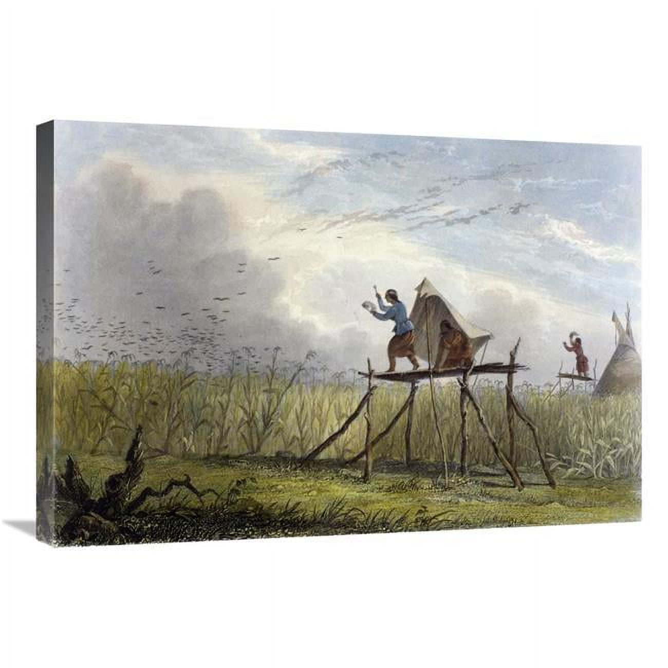 JensenDistributionServices 30 in. Guarding the Corn Fields Art Print - Mary Eastman
