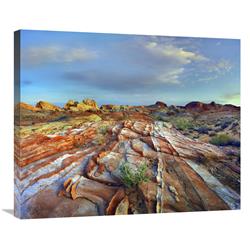 Global Gallery GCS-396276-30-142 30 in. Rainbow Vista, Valley of Fire State Park, Nevada Art Print - Tim Fitzharris