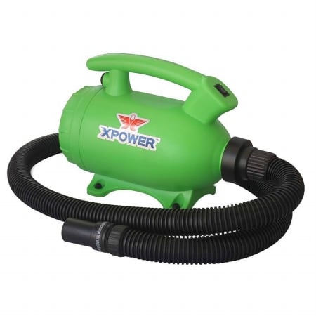 XPOWER Manufacture XPOWER B-55-Green Home Pet Dryer