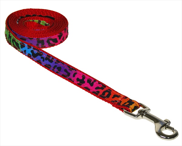 Sassy Dog Wear LEOPARD-RAINBOW1-L 4 ft. Leopard Dog Leash- Rainbow - Extra Small