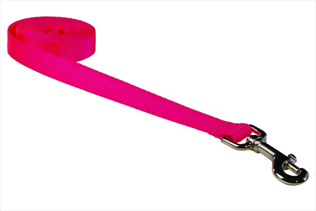 Sassy Dog Wear SOLID NEON PINK LG-L 6 ft. Nylon Webbing Dog Leash- Neon Pink - Large