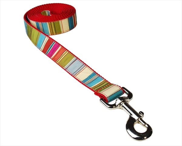 Sassy Dog Wear STRIPE-RED-MULTI3-L 6 ft. Multi Stripe Dog Leash- Red - Medium