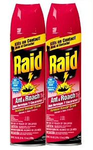 SC Johnson BOGO 15619 Raid Ant and Roach Spray - 17.5 OZ - Outdoor Fresh
