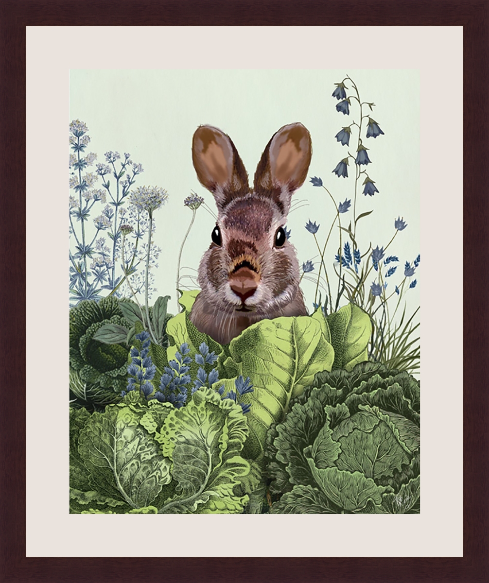 Somerset House Publishing 2345 17.5 x 14.5 in. Rabbit in Cabbage VI Framed Fine Art Print
