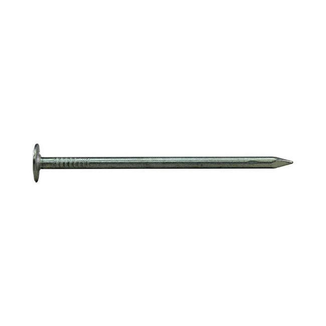 National Nail 5693098 1 in. 1 lbs EG Roofing Nail